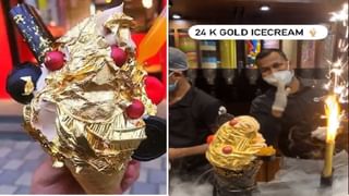 Viral video: పిజ్జాపై మనసు పారేసుకున్న పిల్లి.. ప్రాధేయపడిన తీరు చూస్తే నవ్వాగదు..