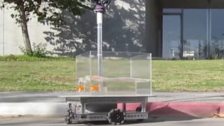 Law of Gravity: మన మీద భూమ్యాకర్షణే కాదు.. సూర్య..చంద్రుల గురుత్వాకర్షణ ప్రభావమూ ఉంటుందంటున్న శాస్త్రవేత్తలు