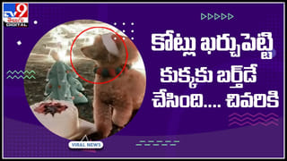 Gold Fish Driving Video: కారు డ్రైవ్‌ చేస్తున్న చేప… శాస్త్రవేత్తల ప్రయోగం ఫలించేనా..? వైరల్ అవుతున్న వీడియో..