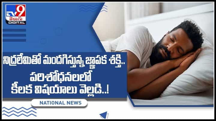Sleeping Problem: నిద్రలేమితో మందగిస్తున్న జ్ఞాపక శక్తి.. పరిశోధనలలో కీలక విషయాలు వెల్లడి..!(వీడియో) Sleeping Problem: నిద్రలేమితో మందగిస్తున్న జ్ఞాపక శక్తి.. పరిశోధనలలో కీలక విషయాలు వెల్లడి..!(వీడియో)