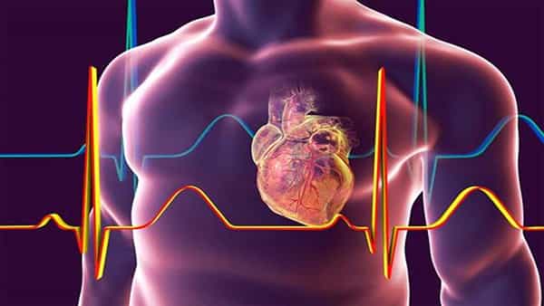Heart Problem: మీకు ఈ అలవాట్లు ఉన్నాయా..? గుండె పనితీరు మందగించి సమస్యల్లో చిక్కుకున్నట్లే..!