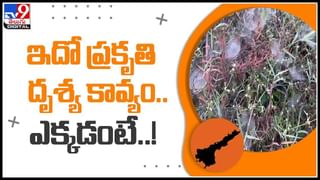 10. 11సార్లు కరోనా టీకా వేసుకున్నానోచ్‌!(Video)