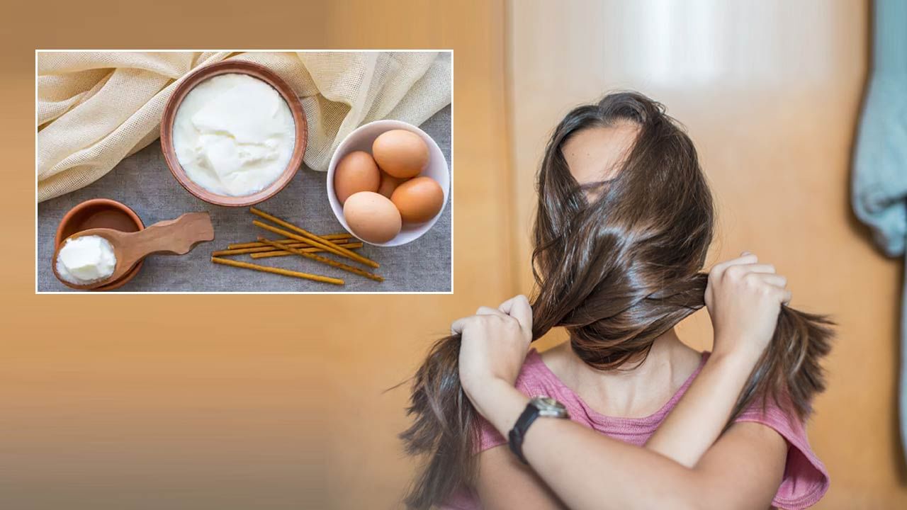 Hair Care Tips: Try these Homemade Tips for Hair Care in Winter Season .. |  Try these homemade Hair Care Tips in winter season Which hair mask is best  | PiPa News