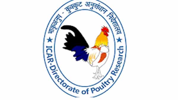 Jobs In Hyderabad: పీజీ అర్హతతో ఐకార్లో యంగ్ప్రొఫెషనల్ పోస్టులు.. ఇంటర్వ్యూతోనే ఎంపికలు!
