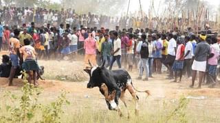 Ramakuppam Tension: విగ్రహాల వివాదం.. రామకుప్పంలో ఉద్రిక్తత.. రంగంలోకి దిగిన పోలీసులు..