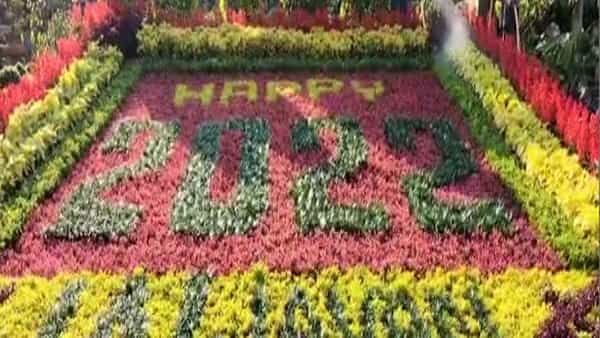 Kadiyam Nursery: కడియం నర్సరీలో అందాలపూబాలతో కొత్త ఏడాదికి సరికొత్తగా స్వాగతం.. ఆహుతులను ఆకట్టుకుంటున్న వైనం..
