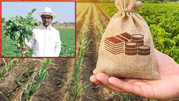 Telangana Farmers: తెలంగాణలో రూటు మారుస్తున్న రైతన్నలు.. అండగా ఉంటామంటున్న ప్రభుత్వం.. ఇంతకీ ఏం జరుగుతోందంటే..!