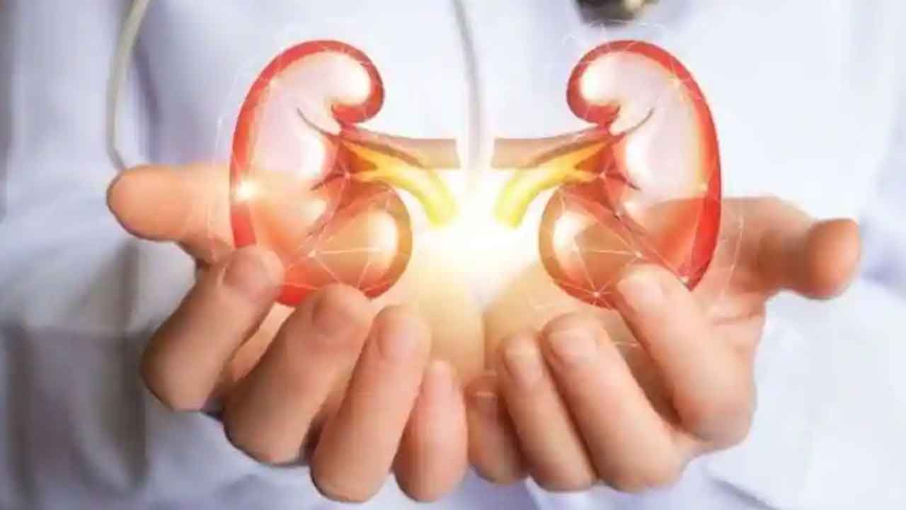 Health Tips: కిడ్నీ ఫెయిల్యూర్ సంకేతాలివే.. ఆరోగ్యంగా ఉండాలంటే ఇవి పాటిస్తే బెటర్..!