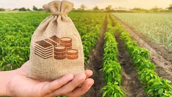 Telangana: భూములకు కొత్త మార్కెట్ ధరలు ఖరారు చేసిన ప్రభుత్వం.. 1 నుంచి అమల్లోకి..