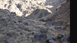 Viral Video: కోడిపై పిల్లి దాడి చేసింది.. కానీ పందెం రివర్స్ .. వీడియో చూస్తే నవ్వు ఆపుకోలేరు..