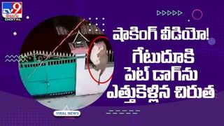 Viral Photo: ఈ ఫోటోలో పులి దాగుంది.. గుర్తించండి చూద్దాం.. అంత ఈజీ కాదండోయ్!