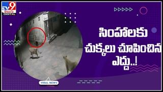 Snake in hospital lab: ఆస్పత్రి ల్యాబ్‌లో దూరిన పాము..పట్టుకునే ఆవకాశం ఇవ్వకుండా తిరుగుతూ.. వైరల్‌ అవుతున్న వీడియో