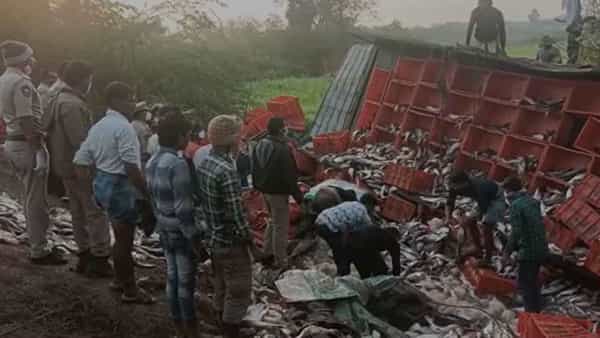 Tadepalligudem: పండుగ పూట విషాద వార్త.. చేపల లారీ బోల్తా..నలుగురు దుర్మరణం