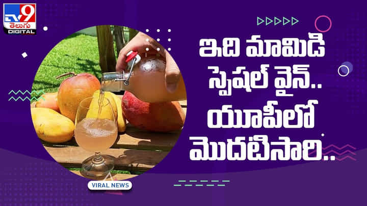 ఇది మామిడి స్పెషల్ వైన్ !! యూపీలో మొదటిసారి !! వీడియో ఇది మామిడి స్పెషల్ వైన్ !! యూపీలో మొదటిసారి !! వీడియో