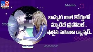 Viral Video: అడవి రాజుకి చుక్కలు చూపించిన జిరాఫీ.. వణుకుపుట్టించే వీడియో వైరల్