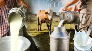 Turmeric Side Effects: ఈ వ్యక్తులు పసుపును అస్సలు తినకూడదట.. ఎందుకో తెలుసా..