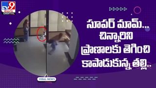 బాస్కెట్‌ బాల్‌ కోర్టులో మ్యారేజ్‌ ప్రపోజల్‌ !! షాకైన మహిళా డ్యాన్సర్ !! వీడియో