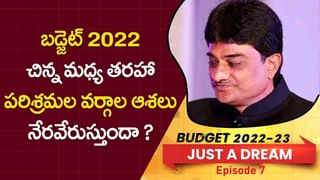 Budget 2022: ఆర్థిక మంత్రి వైపే మహిళల చూపులు.. బడ్జెట్ 2022లో ఎలాంటి వరాలు ఇవ్వనున్నారంటే?