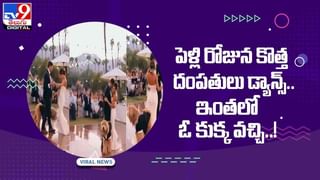 Viral Video: కుందేలపై మరోసారి గెలిచిన తాబేలు.. ఇది కథకాదు నిజం.. వీడియో చూస్తే మీరూ అదే అంటారు..