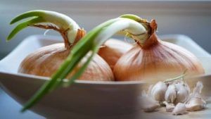 Onion, Garlic: వంటింట్లో ఉండే ఉల్లి, వెల్లుల్లికి మొలకలు ఎందుకు వస్తాయి.. తింటే మంచిదేనా..?