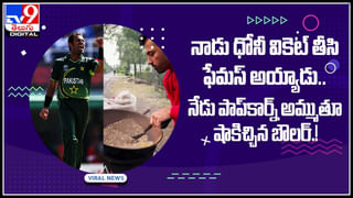 Python viral video: రోడ్డుకు అడ్డంగా భారీ పైథాన్‌.. హడలెత్తిపోయిన వాహనదారులు ఏంచేశారో చూడండి..(వీడియో)