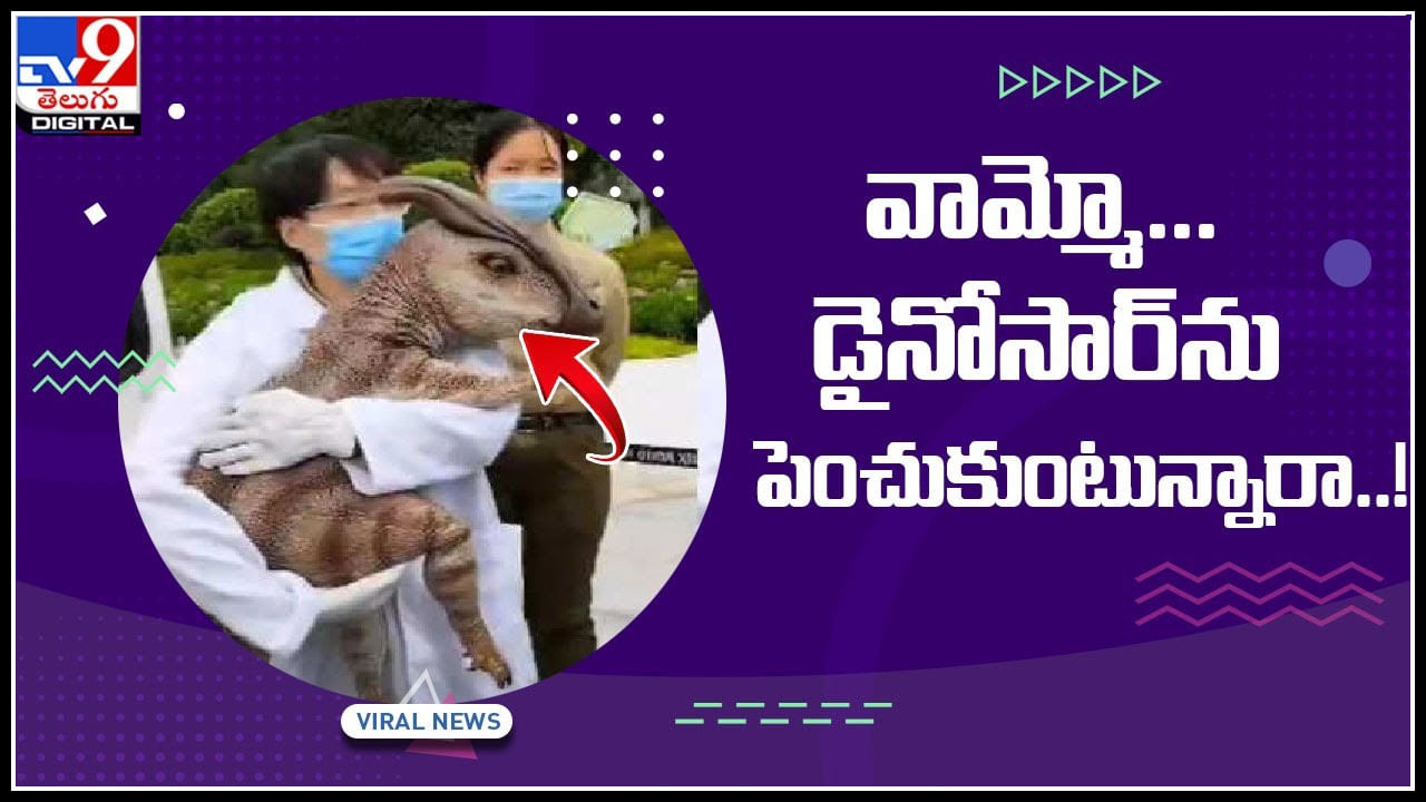 pet dinosaur video వామ్మో... డైనోసార్‌ను పెంచుకుంటున్నార..! సోషల్