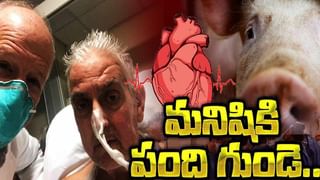 America Suffers: కరోనా కరాళనృత్యానికి అగ్రరాజ్యం విలవిల.. ప్రపంచ దేశాలకు అమెరికానే ఓ గుణపాఠం