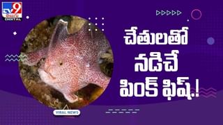 డిజిటల్ పద్ధతిలో విద్యుత్ బిల్లు చెల్లిస్తే డబ్బులివ్వనున్న ప్రభుత్వం !! ఎక్కడంటే ?? వీడియో