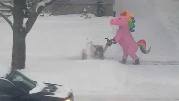 Pink Unicorn: రహదారిపై మంచుని శుభ్రం చేస్తోన్న ఒంటి కొమ్ము గుర్రం.. నెట్టింట్లో వీడియో వైరల్..