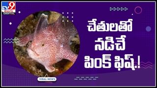 Burning Topic Video: మార్కుల పేరుతో విద్యార్ధినిలను బ్లాక్‌మెయిల్ || అపార్ట్‌మెంట్ వాసులు..(video)