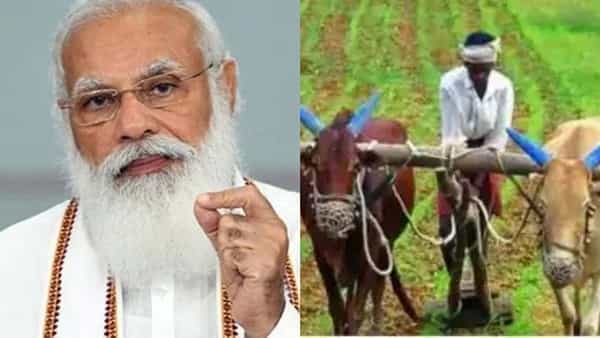 PM Kisan: రైతులకు అలర్ట్.. పీఎం కిసాన్ డబ్బులు మీ బ్యాంకు ఖాతాల్లోకి రాలేదా ? అయితే ఇలా చేయండి..