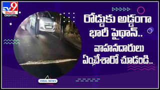 Viral Video: ఏనుగమ్మా ఏనుగు.. పాలు తాగుతూ ఆటలాడుకున్న చిన్నారి.. షాకింగ్ వీడియో