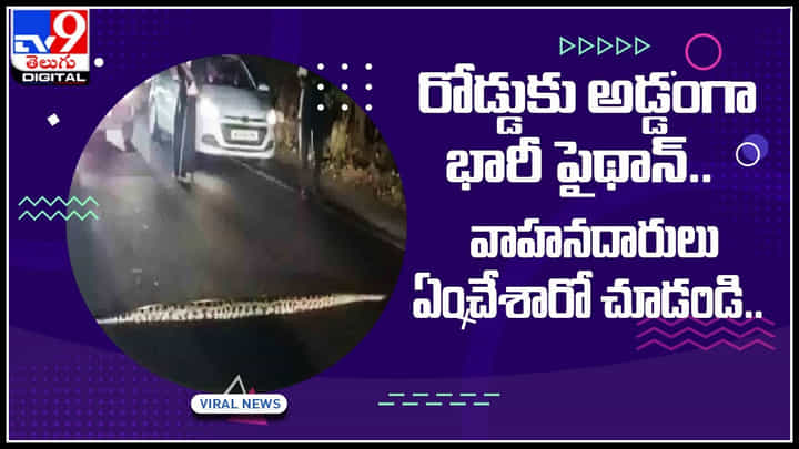 Python viral video: రోడ్డుకు అడ్డంగా భారీ పైథాన్.. హడలెత్తిపోయిన వాహనదారులు ఏంచేశారో చూడండి..(వీడియో) Python viral video: రోడ్డుకు అడ్డంగా భారీ పైథాన్.. హడలెత్తిపోయిన వాహనదారులు ఏంచేశారో చూడండి..(వీడియో)