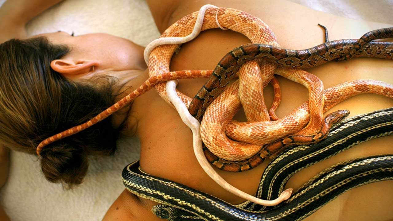 Snake Massage Centre: ఆ దేశంలో రిలాక్స్ కోసం వంటిపై నూలు పోగులేకుండా.. కొండచిలువలతో మసాజ్