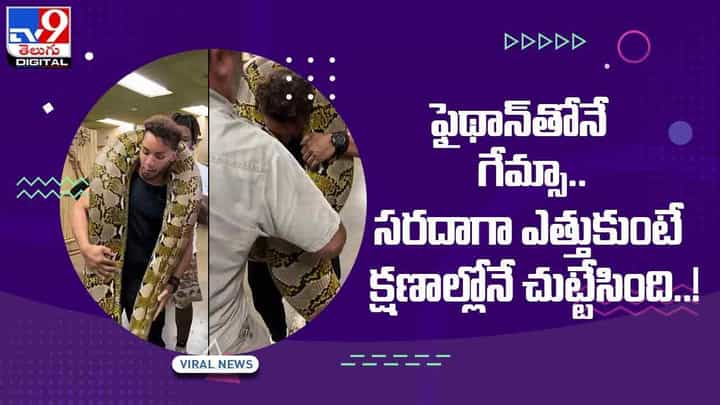 Viral Video: ఫైథాన్తోనే గేమ్సా !! సరదాగా ఎత్తుకుంటే క్షణాల్లోనే చుట్టేసింది !! వీడియో Viral Video: ఫైథాన్తోనే గేమ్సా !! సరదాగా ఎత్తుకుంటే క్షణాల్లోనే చుట్టేసింది !! వీడియో