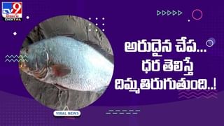 Viral Video: చిన్న పిల్లాడిని ఓదార్చిన శునకం !! ఏం జరిగిందంటే ?? వీడియో