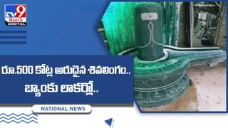 Viral Video: కోడి పుంజుకు బర్త్ డే వేడుకలు !! చూస్తే నవ్వు ఆపుకోలేరు !! వీడియో