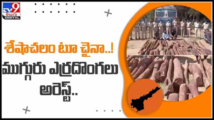 Red Sandal Smugglers: యూపీ లారీలో శేషాచలం టూ చైనా..! ముగ్గురు ఎర్రదొంగలు అరెస్ట్.. (వీడియో) Red Sandal Smugglers: యూపీ లారీలో శేషాచలం టూ చైనా..! ముగ్గురు ఎర్రదొంగలు అరెస్ట్.. (వీడియో)