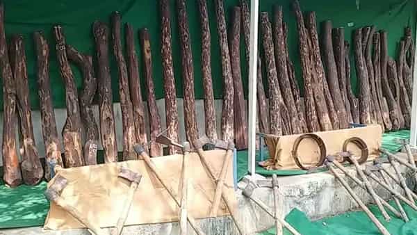 Nellore District: పుష్పరాజ్ను మించిపోయిన ఎర్రచందనం స్మగ్లర్స్.. కానీ పోలీసులకు చిక్కారు..