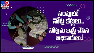 Womens Fighting video: సచివాలయంలో మహిళల ఫైట్‌.. జుట్టు జుట్టు పట్టుకొని.. వైరల్‌ అవుతున్న వీడియో