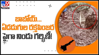 Golgappa sandwich Video: అదేం టేస్ట్ గురు..! పానీపూరీ శాండ్ విచ్.. వైరైటీ ఫుడ్ నయా ట్రెండ్.. వైరల్ వీడియో .