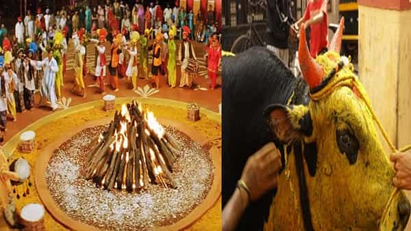 Sankranti 2022: దక్షిణ భారత దేశంలో సంక్రాంతి పెద్ద పండగ.. ఎందుకు జరుపుకుంటారు, ఎలా జరుపుకుంటారంటే..