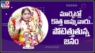 Viral Video: ఈయన మామూలోడు కాదు.. ఏకంగా కొండ చిలువనే..! నెట్టింట్లో వైరలవుతోన్న వీడియో