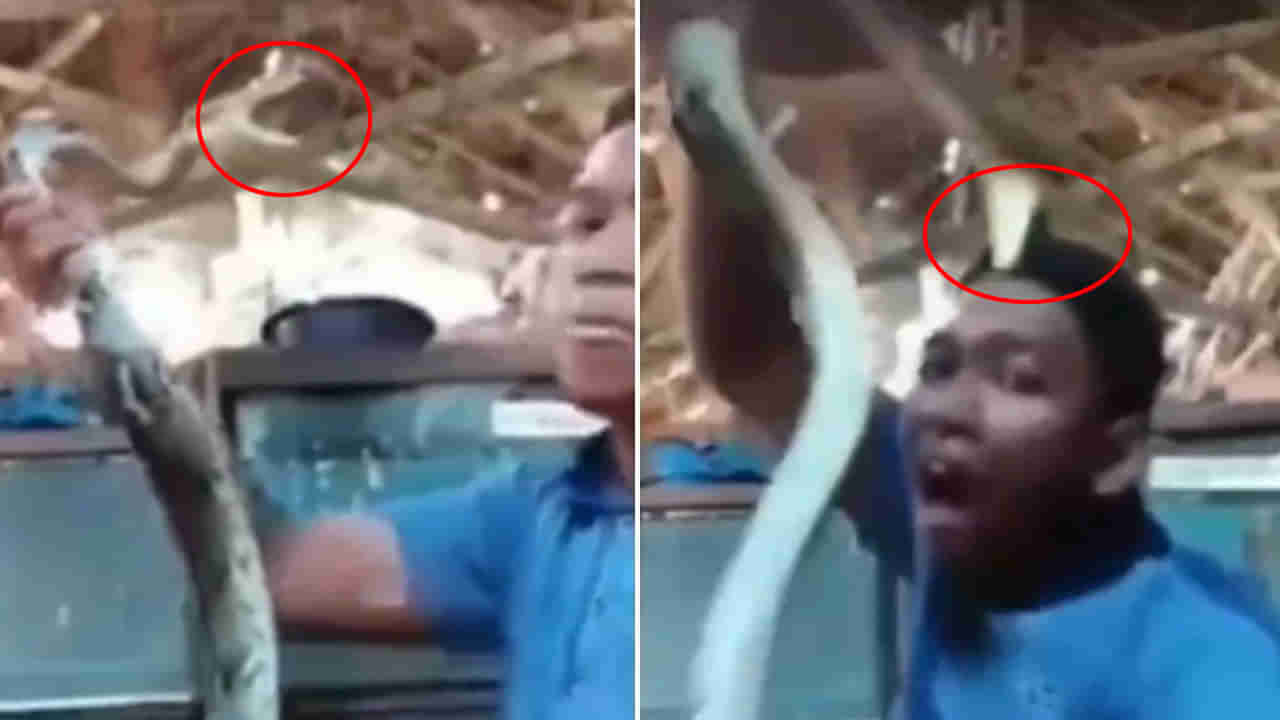 Viral Video: పాముతో గేమ్సా.. క్షణాల్లో కాటేసింది.. వీడియో చూస్తే షాకవ్వాల్సిందే!