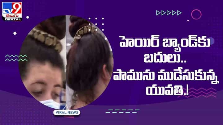 హెయిర్ బ్యాండ్కు బదులు పామును ముడేసుకున్న యువతి !! వీడియో హెయిర్ బ్యాండ్కు బదులు పామును ముడేసుకున్న యువతి !! వీడియో