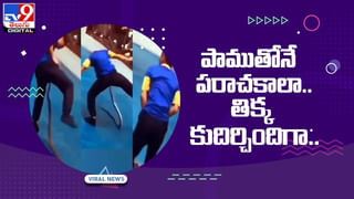 Viral Video: తాబేలు చేసిన పనికి ఖంగుతున్న మొసలి.. వీడియో చూస్తే.. వీడియో