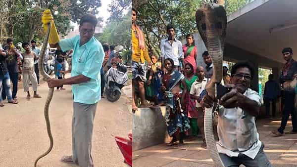 10 వేలకు పైగా పాములు పట్టాడు.. విషపు పాము కాటు వేయడంతో ఆసుపత్రి పాలయ్యాడు.. అతనెవరంటే!