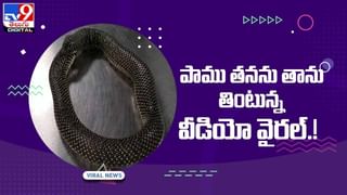 Viral Video: పండు తొక్కతో సూపర్‌ లెదర్‌ బ్యాగ్‌ !! వీడియో