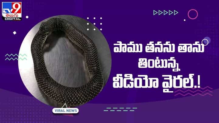 Viral Video: పాము తనను తాను తింటున్న వీడియో వైరల్.! Viral Video: పాము తనను తాను తింటున్న వీడియో వైరల్.!