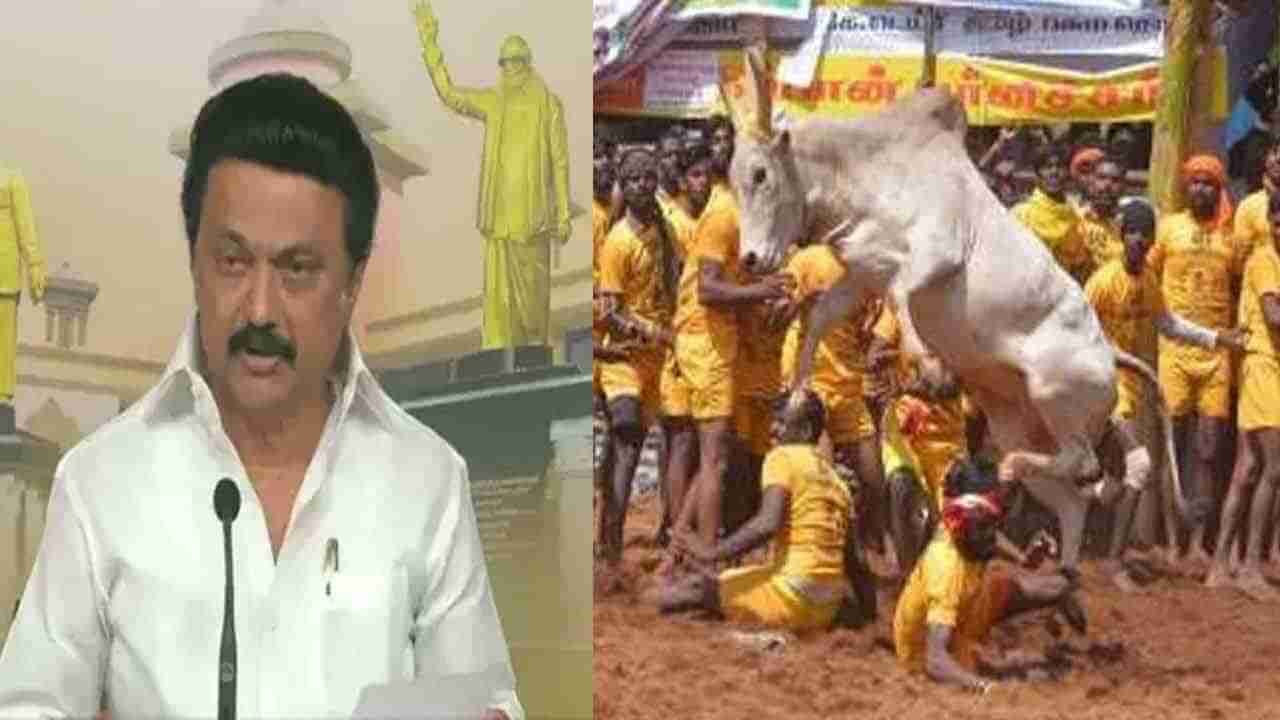 Jallikattu: కరోనా విజృంభిస్తున్న వేళ జల్లికట్టుపై సర్వత్రా ఉత్కంఠ.. నేడు సీఎం స్టాలిన్ కీలక నిర్ణయం